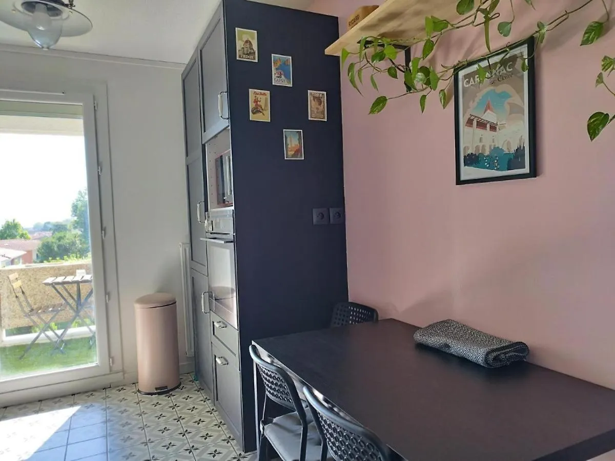 Daire La Sevillana - 3 Bedrooms - Cute Terrace - 2 Parkings Toulouse